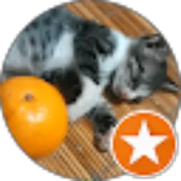 Review From Nooky Syam