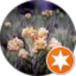 Review From Sri Sumiarti