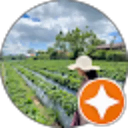 Review From Dewa Ayu