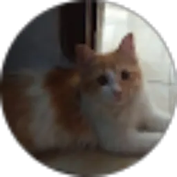 Review From Farrell Radithya