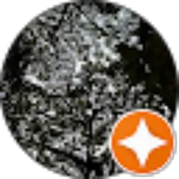 Review From Ro'fatun Nisa'