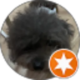 Review From Krismanto