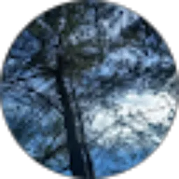 Review From Ester Aprilliana