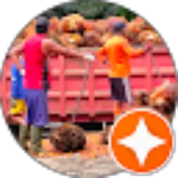 Review From Ucup Lamak