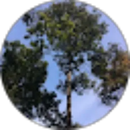 Review From Azka Pramudya Rifki Suwardi