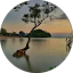 Review From SenjaFurnindo Alienzky