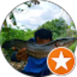 Review From Mendoan Fc