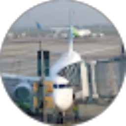 Review From David Adipati 04