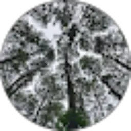 Review From akbar albanisyah