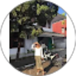 Review From Sinta Putri