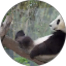 Review From relaxing video