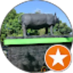 Review From Intoro Toro