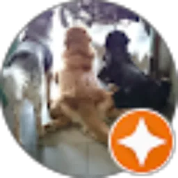 Review From Ria Anggreni