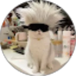 Review From Kartika Milenda