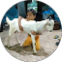 Review From Faharurrozi Fasafasa