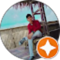 Review From Luhut Pandjaitan