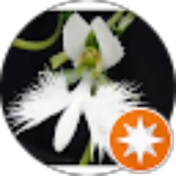 Review From akifumi yamaguchi