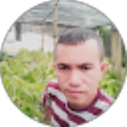 Review From Dedy mamonto Dedy