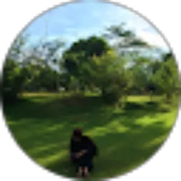 Review From kartika santi