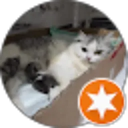 Review From susan setiono