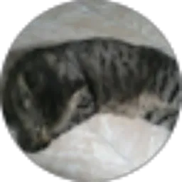 Review From Tri Ascaryo