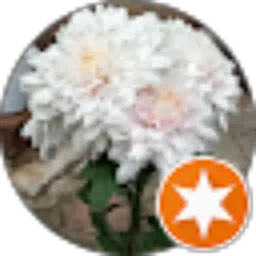 Review From Mariam Mulyadiani