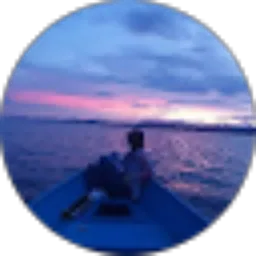 Review From Anita Tappi