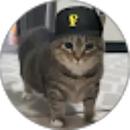 Review From Nayla Zqy