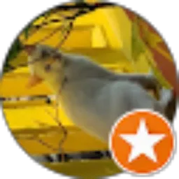 Review From Angga Wiratama