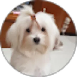 Review From Rionaldy Wijaya