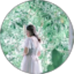 Review From Dien Randa