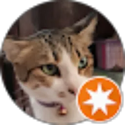 Review From Budi Prasetya