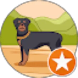 Review From LEO PANDJAITAN