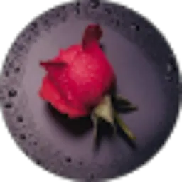 Review From Wong Ndeso