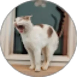 Review From Alansyah Hafizh