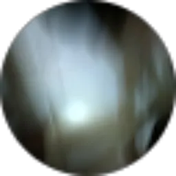 Review From M Eka Sakti