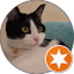 Review From Huwaida Asy Syifa