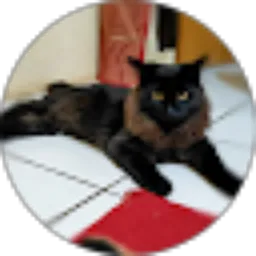 Review From Reren Chandra