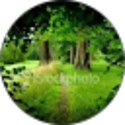 Review From rahmat Awalin