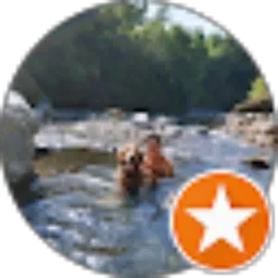 Review From William Renault