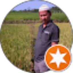 Review From Sarwoto Oto