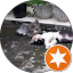 Review From Calico's Mom