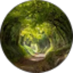 Review From Ahmad Riza