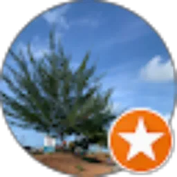 Review From Dwi Surya