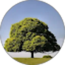 Review From Muhammad Izmir