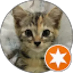 Review From M. Yolin