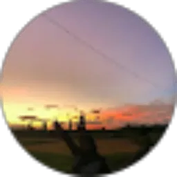 Review From salsa bila