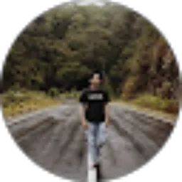 Review From Michael Budi