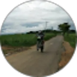 Review From Aris Kusuma