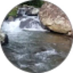 Review From Hsa Abror